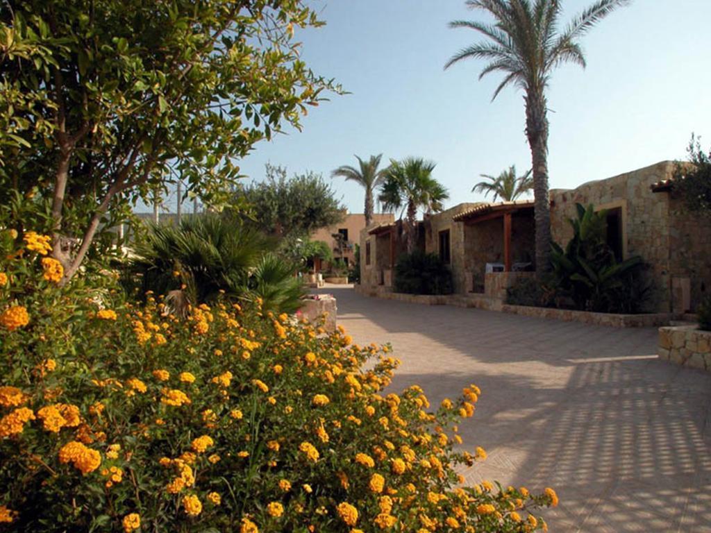 Oasis 3*